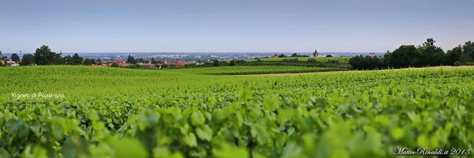 Wine & Lake In Franciacorta Passirano Экстерьер фото